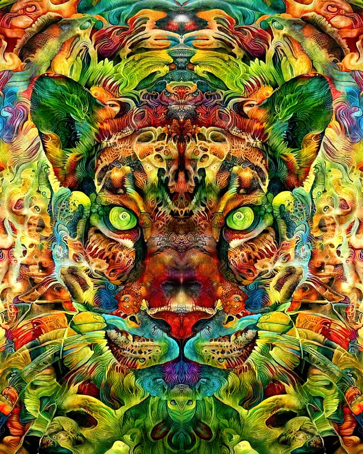 Ayahuascero Jaguar II